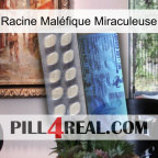 Racine Maléfique Miraculeuse 34